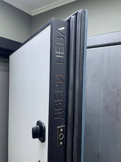 Входная дверь  